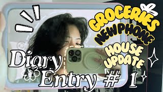 Minxei Diary Entry  1  Phone Adventure  Peek at Groceries and New House [upl. by Amatruda]