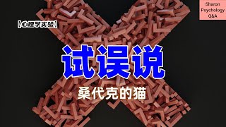 【心理学实验】试误说  因为猫而诞生的心理学理论  桑代克的猫 [upl. by Halyk762]