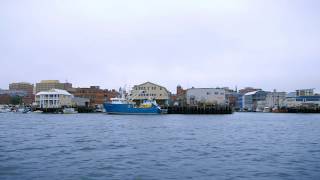 Maine Lobster An Integral Industry [upl. by Alyosha788]