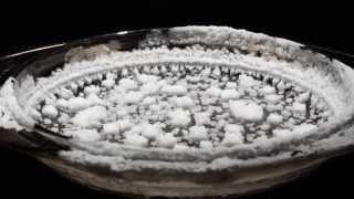 Timelapse  Salt Crystals [upl. by Aicilanna]