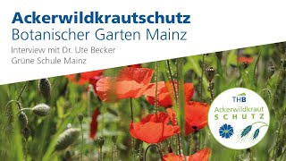 Botanischer Garten Mainz  Ackerwildkrautschutz  TH Bingen [upl. by Anallise]