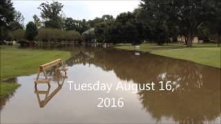 Louisiana Ascension Parish Manchac Bayou Prairieville Flooding August 2016 [upl. by Tnert925]