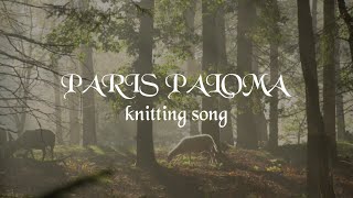 Paris Paloma  knitting song Official Lyric Video [upl. by Audras]