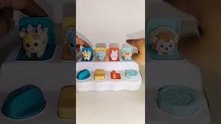 Pop up Toy 🌈satisfying asmr asmrsounds popuptoy [upl. by Anirbac382]