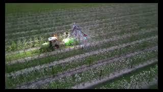 Fendt 208V Vario spraying with a Munckhof 3 row sprayer [upl. by Aerdnat]