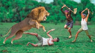 Lion Attack Man in Forest  Lion Attack Hunter  Lion Attack Stories Part07 [upl. by Ivonne]