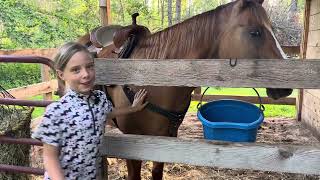 HORSE CAMPING at Sandaraska Park Ontario [upl. by Erde]