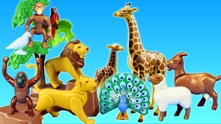 Dear Zoo  Read Aloud with animal sound effects amp QUIZ [upl. by Eecyaj]