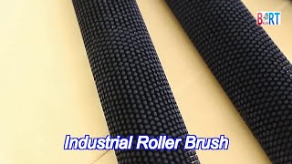 Nylon Spring Spiral Industrial Roller Brush Cleaning Custom [upl. by Ekal408]