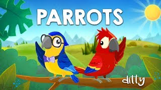 PARROTS – Ditty  Songs for kids Animated nursery rhymes for children [upl. by Sutphin]