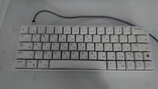 Sakara 64  Skyloong SK64 With Custom XDA Keycap  Typing Sound Gateron Optical Black ASMR [upl. by Asirahc]