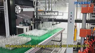 10PCS Pack PET Egg Tray Thermoforming Machine [upl. by Esadnac]