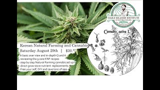 KNF amp Cannabis [upl. by Norward605]