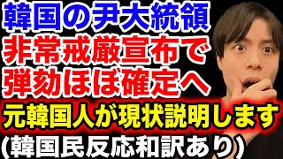 【この動画で丸わかり】韓国尹大統領、非常戒厳宣布で弾劾がほぼ確定へ【韓国反応和訳】 [upl. by Cleodell914]