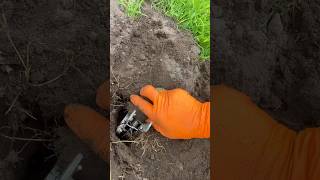 Scissor mole traps  where to put a mole trap and how to find mole tunnels diy gardenpests garden [upl. by Lleze983]