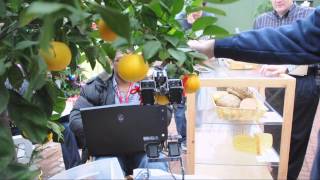 Fruit Picking Robot The first best pick [upl. by Varini180]