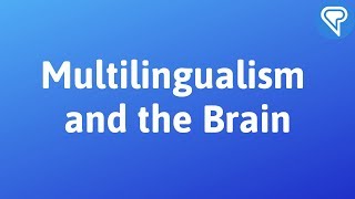 Multilingualism and the Brain A Conference at McGill University Montreal [upl. by Liris756]