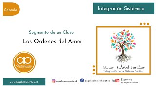 Los Ordenes del Amor B Hellinger [upl. by Othilie]