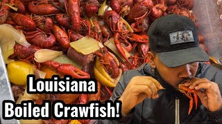 How To Make Louisiana Boiled Crawfish  Southern Cooking  Chef AldenB [upl. by Pudendas]