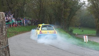 Rally of LEpine Avant Pays Savoyard 2024  Mistakes Flames amp Actions [upl. by Dedrick206]