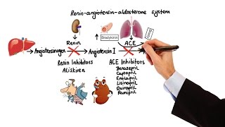 Pharmacology  HYPERTENSION amp ANTIHYPERTENSIVES MADE EASY [upl. by Sylirama23]