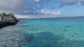 Windsock The Beach Bonaire 4 januari 2023 2 [upl. by Rani]