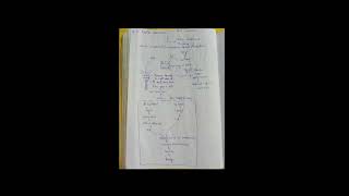 class 11th biology anatomy and morphology of frog short notes for NEET [upl. by Seravart771]