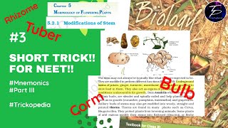 ✓Short Trick🥳Morphology Of Flowering PlantsPartIIIOrgans Of PerennationMnemonicsNEETClass11🥳🙏 [upl. by Idleman]