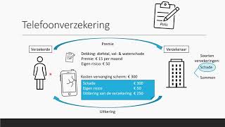 Verzekeren  Bedrijfseconomie  havo  vwo domein B [upl. by Miuqaoj]