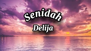 Senidah  Delija Lyrics tekst [upl. by Aivato231]