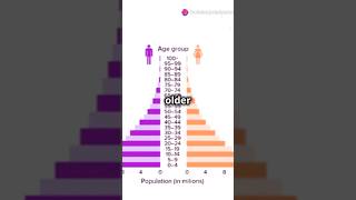 population pyramid explained educational education ytshorts shorts [upl. by Annabelle]