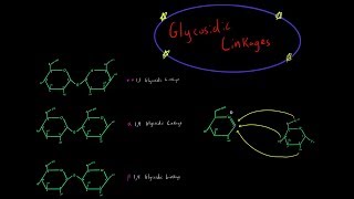 How Glycosidic Linkages are Formed Organic Chemistry Mechanism Carbohydrate Biochemistry MCAT [upl. by Scoles]