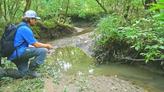 Fishing in a TINY CREEK [upl. by Aramoy]