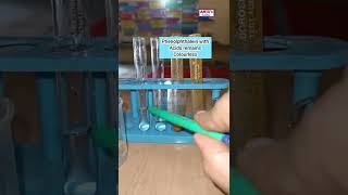 Phenolphthalein and Turmeric as Acid Base Indicator shorts anjusscience [upl. by Natsirc]