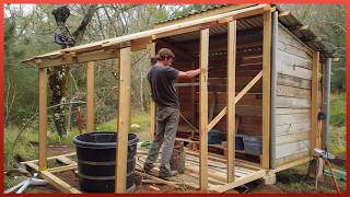 Man Builds Amazing DIY Wood Cabin in the Forest Start to Finish  by mattjacobs1 [upl. by Nollek]