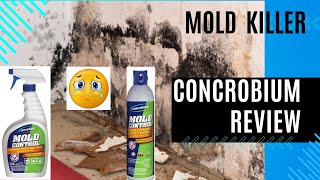 Concrobium Mold Control Review How to Kill Mold [upl. by Lleinad]