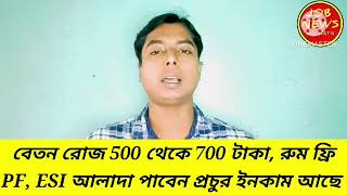 SampIB কোম্পানিতে সরাসরি নিয়োগ ইনকাম রোজ 500 থেকে 700 টাকা PF ESI আলাদা থাকা ফ্রি JOBNEWSKOLKATA [upl. by Myrtice265]