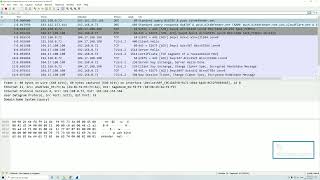 10 Wireshark Capture and Protocol Filters [upl. by Xilef278]