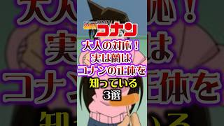 【名探偵コナン】実は蘭はコナンの正体を知っている3選 short 名探偵コナン コナン 毛利蘭 [upl. by Gershom]