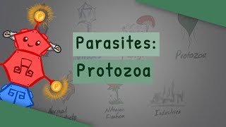 Parasites Protozoa classification structure life cycle [upl. by Rehpotsirhcnhoj502]