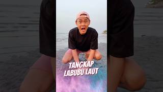 Tangkap Labubu Laut 🏝️ [upl. by Redep]