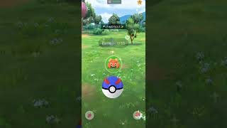 Bug Grass Shiny✨ Pokemon Pgsharp Pokemon Go [upl. by Thor347]