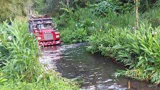 Maderiando con Vagoneta  Costa Rica [upl. by Namyac352]