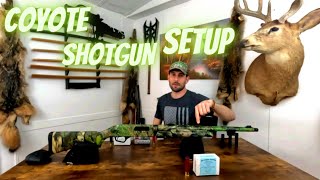 Uncovering the Ultimate Coyote Hunting Shotgun And Ammo Setup [upl. by Ardaed]