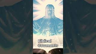 Understanding Gods Sovereignty Biblical Covenants and His Will [upl. by Ekaj]