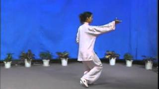 42 positions form tai ji quan [upl. by Dnomrej]