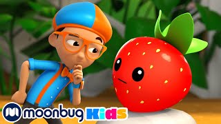 Frutas y vegetales  BlippiEspanol  Blippi Wonders  Caricaturas para niños [upl. by Netniuq]