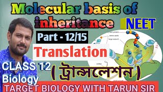 ট্রান্সলেশন  Translation molecular basis of inheritance  part  1215  neet  target biology [upl. by Lynette]