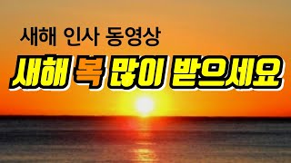 2024년 새해 인사영상  카운트다운  2024갑진년  신년인사  새해 복 많이 받으세요 [upl. by Beitris345]