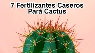 7 Fertilizantes Caseros Pará Cactus [upl. by Ioab]